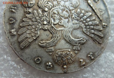 1 - P1090633.JPG