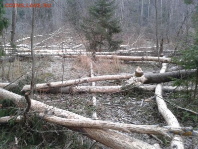 Покопушки от Русланыча . - 2208626