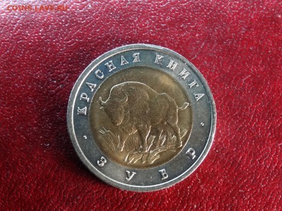 КК 50р 1994 Зубр UNC до 15.01 22:00 МСК - DSC05564.JPG
