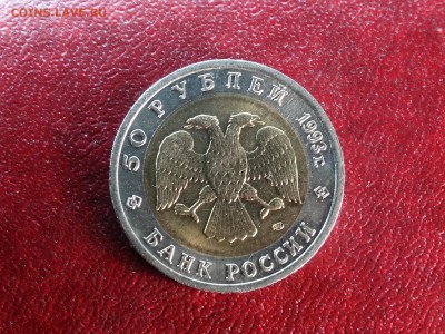 КК 50р 1993 Зублефар UNC до 15.01 22:00 МСК - DSC05569.JPG