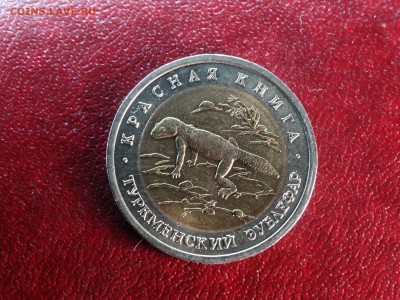 КК 50р 1993 Зублефар UNC до 15.01 22:00 МСК - DSC05568.JPG