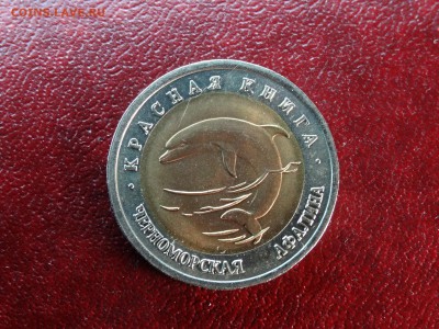 КК 50р 1993 Афалина UNC до 15.01 22:00 МСК - DSC05572.JPG