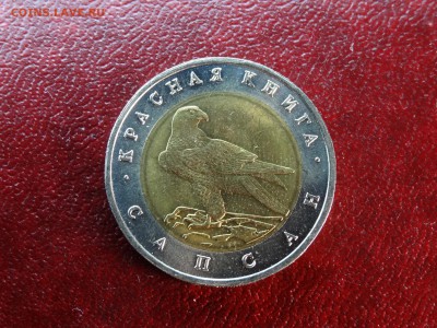 КК 50р 1994 Сапсан UNC до 15.01 22:00 МСК - DSC05574.JPG