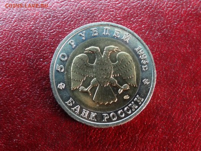 КК 50р 1993 Медведь UNC до 15.01 22:00 МСК - DSC05579.JPG