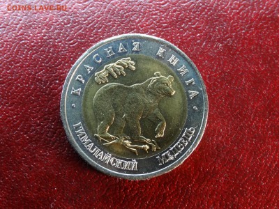 КК 50р 1993 Медведь UNC до 15.01 22:00 МСК - DSC05578.JPG