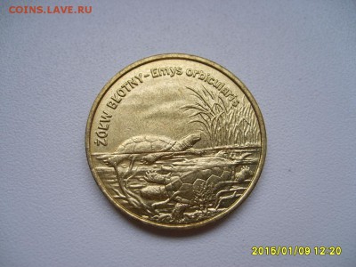 ПОЛЬША,2 злотых 2002 г(черепаха)!до 11.01.2015 - S6003245.JPG