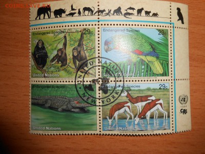 Марки ФАУНА, фикс, 11 разных сцепок - DSCN5021.JPG