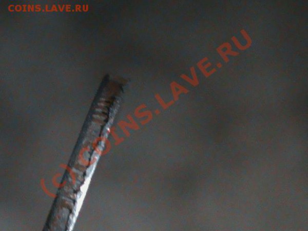 5р 1998 ммд - DSC00066.JPG
