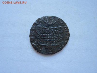 полушка Сибирь 1770 км до 15.01.15 - IMG_0816.JPG