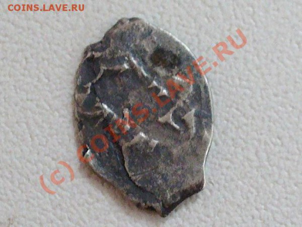 Чешуйки на определение и оценку - P1000018.JPG