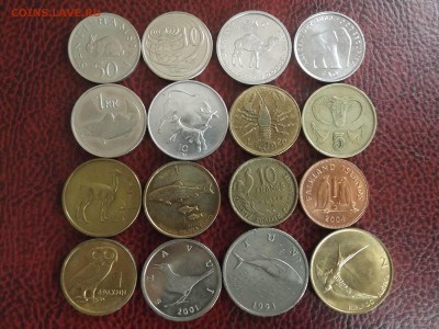 Подборка монет Фауна(птицы,рыбы,животные) 72 шт. - DSCF5287.JPG