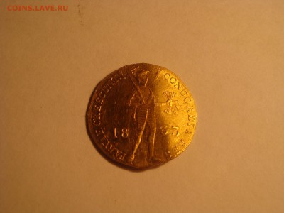 1833 год gongoria res parvae crescunt mo.aur - DSC03917.JPG
