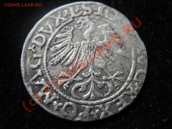 ЛИТВА полгроша 1561 г. Оценка. - Изображение 4408