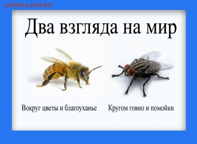 Новосибирск - третий город РФ - 31+з