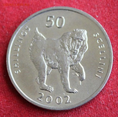 С 1 руб.СОМАЛИ 50 шиллингов 2002г.ОБЕЗЬЯН до 18.01.15г.в 22 - IMG_3208.JPG