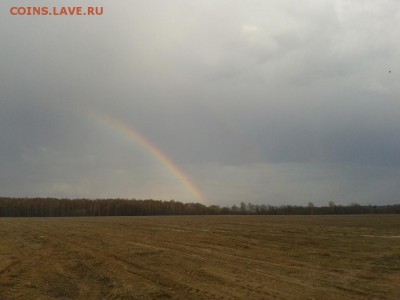 Покопушки от Русланыча . - 1814563