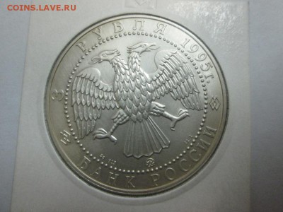 3р. Соболь. 1995г. до 13.01.14 22.00 - IMG_5049б
