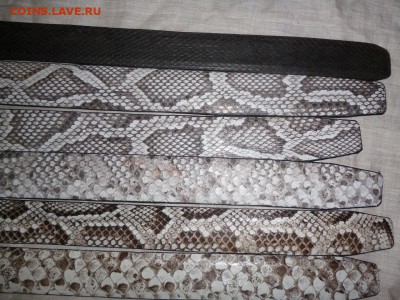 Изделия из кожи крокодила и питона. - 3.JPG