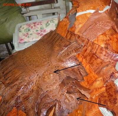 Изделия из кожи крокодила и питона. - 9.JPG