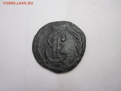 полушка Сибирь 1770 км до 18.01.15 - IMG_0927.JPG