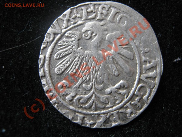ЛИТВА полгроша 1561 г. Оценка. - Изображение 4419