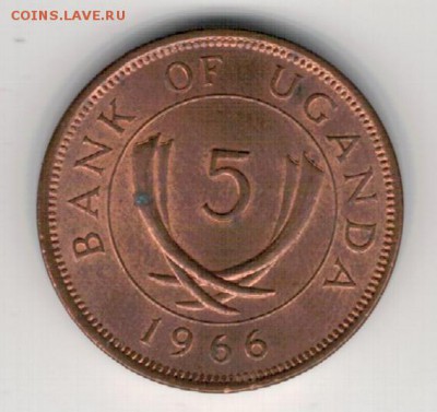 Уганда 5 центов 1966 до 19.01.15 в 22.00мск (А568) - 4-у1