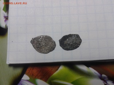2 чешуйки. Серебро+1 медная. До 17.01 в 22:25 МСК. - Фото-0063