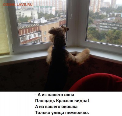 ФОТО - просто фото. Те что получились удачными. - В гостях
