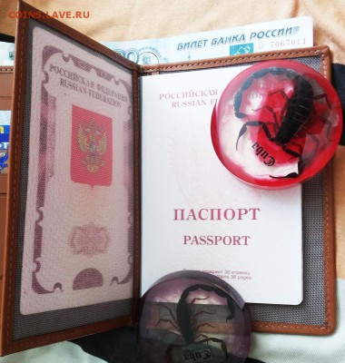 Изделия из кожи крокодила и питона. - 5