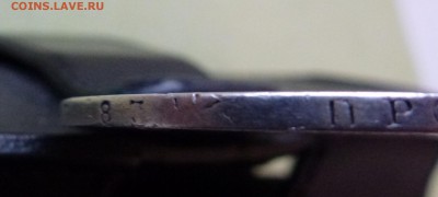 6 - P1100572.JPG