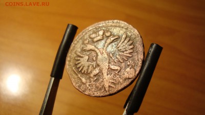 1731 денга одна черта - DSC00642.JPG