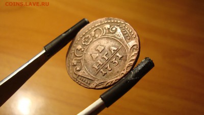 1731 денга одна черта - DSC00641.JPG