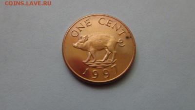 БЕРМУДСКИЕ О-ВА 5 центов aUNC до  21.01.15  22.00 мск. - 63