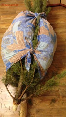 делает - прямо сейчас !!! - image