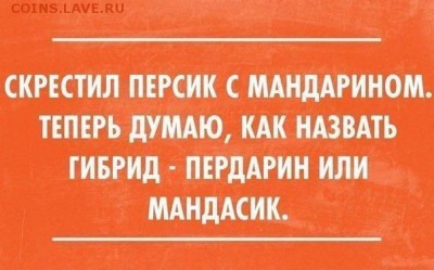 делает - прямо сейчас !!! - image