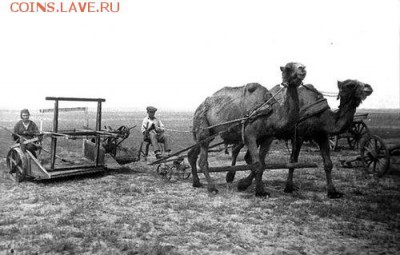 Животные на монетах - 0_a904f_9298816e_L