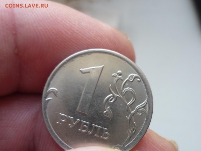 1р 2013ммд-интересный носик. - P1100750.JPG