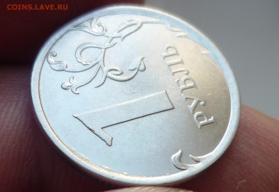 1р 2013ммд-интересный носик. - P1100751.JPG
