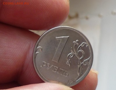 1р 2013ммд-интересный носик. - P1100758.JPG