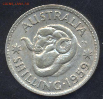Австралия шиллинг 1959 г. До 20.01.15 г. 21-00 МСК. - Автралия шиллинг 1959