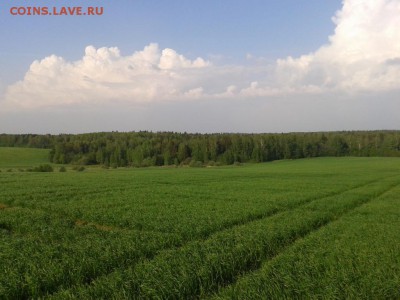 Покопушки от Русланыча . - 2863830