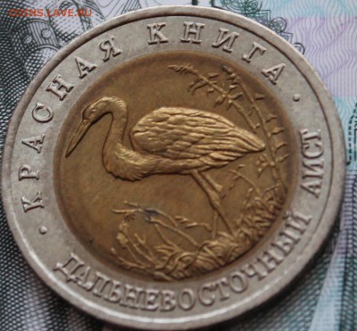 50 рублей 1993 Дальневосточный аист до 22.01.2015 г. - IMG_0683.JPG
