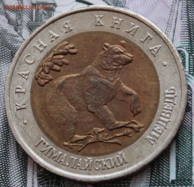50 рублей 1993 года Гималайский медведь до 22.01.2015 22.00 - IMG_0685.JPG