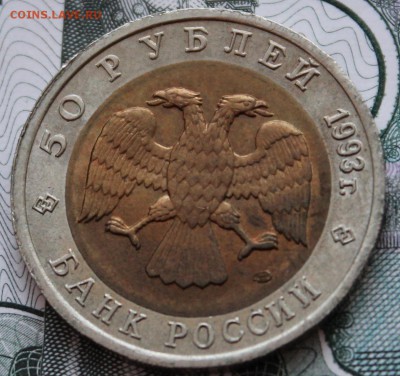 50 рублей 1993 года Гималайский медведь до 22.01.2015 22.00 - IMG_0686.JPG