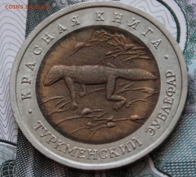 50 рубл. 1993 года Туркменский зублефар до 22.01.15 до 22.00 - IMG_0687.JPG