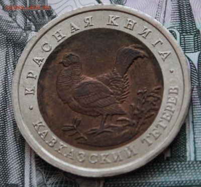 50 рублей 1993 г Кавказский тетерев до 22.01.15 до 22.00 МСК - IMG_0689.JPG