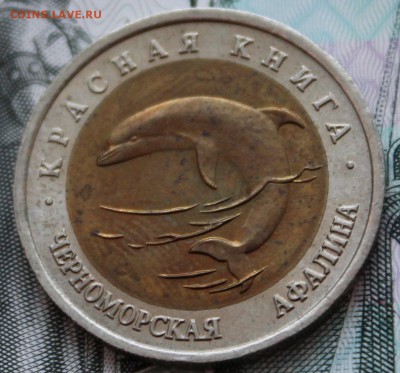 50 рублей 1993 г. Черноморская афалина до 22.01.15 до 22.00 - IMG_0691.JPG