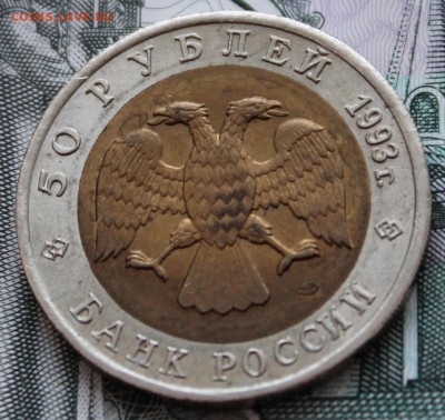 50 рублей 1993 г. Черноморская афалина до 22.01.15 до 22.00 - IMG_0692.JPG