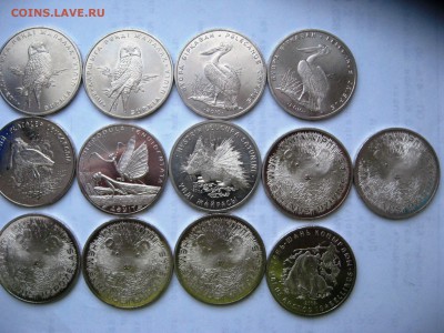 Казахстан Красная книга 13шт  до 24,01,15 22-00 - IMG_5674.JPG