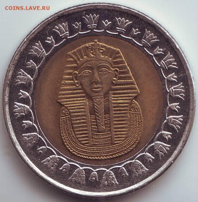 Египет: 1 фунт 2008г. до 23.01.2015 в 21.00 мск - IMAGE0001.JPG
